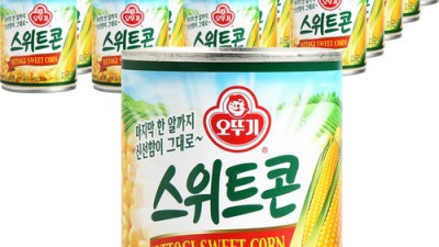 놓치면 후회! 콘2.95 솔직 후기 & 꿀팁🍯